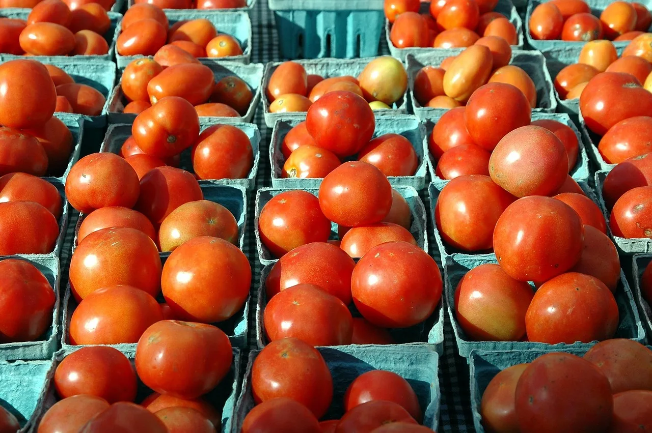 tomatoes, for sale, fruit, tasty, red, food, market, organic, sale, grocery, tomato, store, healthy, retail, vegetable, supermarket, fresh, vegetarian, shopping, lifestyle, customer, shopper, purchase, marketplace, meal, juicy, farmers, stall, eating, nutrition, buying, vegan, consumerism, supermarket, consumerism, consumerism, consumerism, consumerism, consumerism