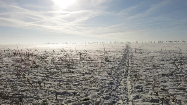 spoor, koud, winterlandschap, sky patroon, nirvana, lichtblauw, gone with the wind, de schaduw, lichtreflectie. Voorraadfinanciering voor groothandelaren: opties en voorwaarden